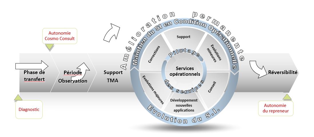 schéma présentant le service TMA repris dans sa globalité