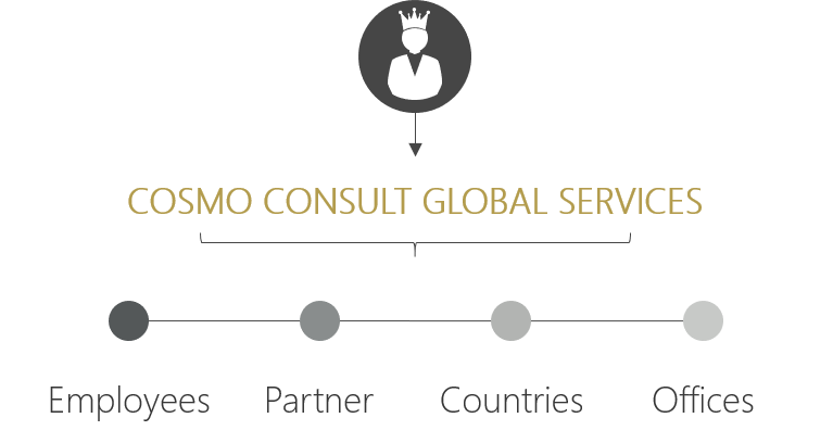gestion des contrats IT par COSMO CONSULT à l'international